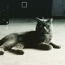  ,   , 37 ,   , 