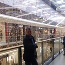  ,   , 42 ,   ,   , c , 