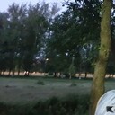 ���������� �����-���������, ���� ������� �������, 46 ���, ������������ ��� ������, ����� � ���������