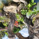 ���������� �������, ���� ������� ������, 63 ����, ������������ ��� ������, ����� � ���������