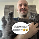 ���������� ������, ���� ������� ����, 40 ���, ������������ ��� c�������� ���������