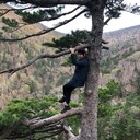  ,   , 36 ,   ,   , c 