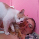  ,   , 49 ,   ,   , c 