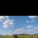  ,   , 52 ,   c 