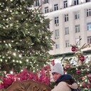  ,   Veronika, 43 ,   ,   