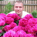  ,   , 48 ,     , c 