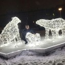  ,   , 36 ,   ,   , c 