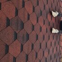 ���������� ������, ���� ������� ����, 28 ���, ������������ ��� ������, ����� � ���������, ���������