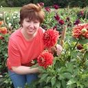 ���������� ����, ���� ������� �������, 61 ���, ������������ ��� ������, ����� � ���������, c�������� ���������