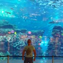 ���������� �������, ���� ������� Konstantin, 41 ���, ������������ ��� ����� � ���������, c�������� ���������