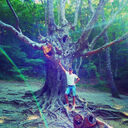  ,   , 37 ,   ,   , c 