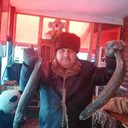 ���������� ������, ���� ������� ��������, 70 ���, ������������ ��� c�������� ���������