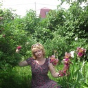  ,   , 55 ,     , c 