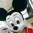  ,   , 29 ,   ,   , c , 