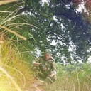  ,   , 44 ,   ,   , c , 