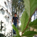  ,   , 33 ,   