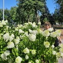  ,   , 50 ,     , c 