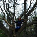 ���������� ������, ���� ������� ���������, 44 ����, ������������ ��� ������, ����� � ���������, c�������� ���������