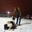 ���������� �����������, ���� ������� Sahak, 31 ���, ������������ ��� ������, ����� � ���������