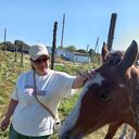   ,   , 44 ,   ,   , c 