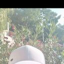 ���������� �������, ���� ������� Vitalie, 50 ���, ������������ ��� ������, ����� � ���������, c�������� ���������