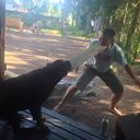 ���������� �����-���������, ���� ������� �������, 40 ���, ������������ ��� c�������� ���������