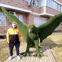  ,   , 37 ,   ,   , c 