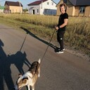 ���������� ��������, ���� ������� Wick, 31 ���, ������������ ��� ������, ����� � ���������, c�������� ���������, ���������