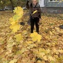  -,   , 71 ,   