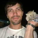  ,    , 41 ,   