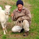 ���������� ������, ���� ������� ��������, 72 ����, ������������ ��� ������, ����� � ���������, c�������� ���������