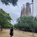 ���������� �������, ���� ������� Baxrom, 36 ���, ������������ ��� ������, ����� � ���������