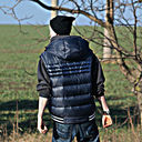  ,    , 29 ,   ,   , c 