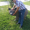  ,   Raul, 39 ,   