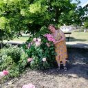 ���������� ������-��-����, ���� ������� ����, 64 ����, ������������ ��� ���������