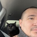 ���������� ������, ���� ������� �����, 38 ���, ������������ ��� ����� � ���������, c�������� ���������