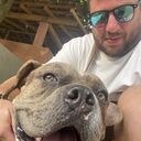 ���������� ������, ���� ������� �����, 33 ����, ������������ ��� ������, ����� � ���������