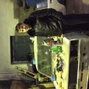 ���������� �����������, ���� ������� �������, 34 ����, ������������ ��� ������, ����� � ���������, c�������� ���������