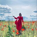 ���������� ����������, ���� ������� ���������, 43 ����, ������������ ��� c�������� ���������