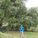 ���������� ����, ���� ������� Elman, 42 ����, ������������ ��� ������, ����� � ���������, c�������� ���������