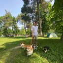  ,   , 33 ,   ,   , c 