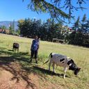 ���������� �����-���������, ���� ������� ������, 54 ����, ������������ ��� ����� � ���������, c�������� ���������