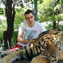 ���������� �����������, ���� ������� ������, 38 ���, ������������ ��� ������, ����� � ���������