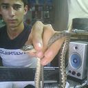  ,   Qobilbek, 33 ,   ,   , c 