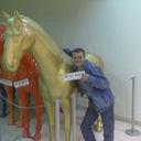 ���������� ������������, ���� ������� ����, 48 ���, ������������ ��� ������, ����� � ���������, c�������� ���������