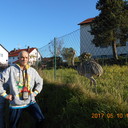 ���������� ����, ���� ������� Elek, 51 ���, ������������ ��� ������, ����� � ���������, c�������� ���������