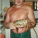  ,   , 66 ,   