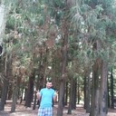 ���������� �������, ���� ������� Giorgi, 33 ����, ������������ ��� ������, ����� � ���������, c�������� ���������