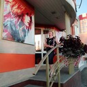 ���������� �����������, ���� ������� �������, 45 ���, ������������ ��� ������, ����� � ���������, c�������� ���������