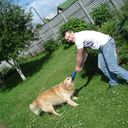 ���������� �����, ���� ������� BorZ, 38 ���, ������������ ��� ����� � ���������, c�������� ���������